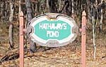Hathaways Sign